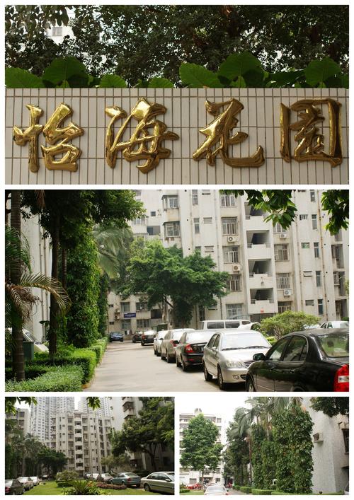 深圳市泰源物业管理 从基础服务到价值创造的综合实践